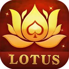 teen patti chips code download
